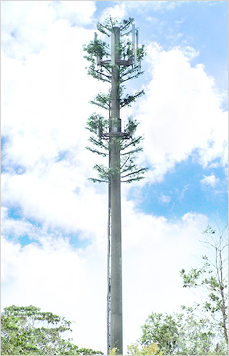 Monopole Tree (Ranging from 36m to 45m)